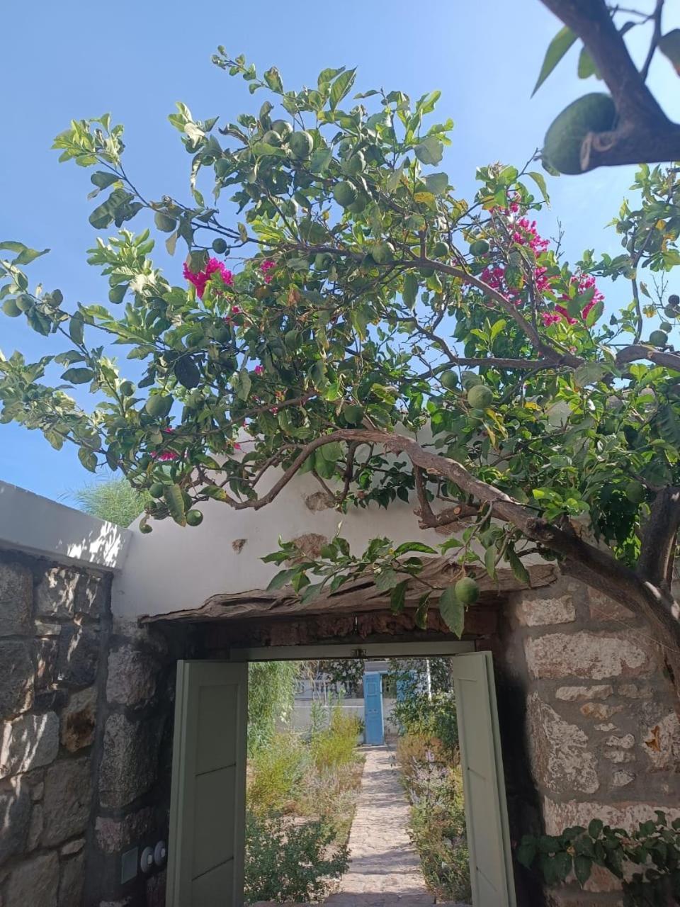 Latmos 1860 Βίλα Σκάλα Εξωτερικό φωτογραφία